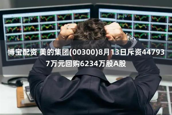 博宝配资 美的集团(00300)8月13日斥资447937万元回购6234万股A股