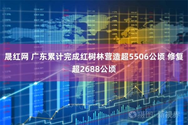 晟红网 广东累计完成红树林营造超5506公顷 修复超2688公顷