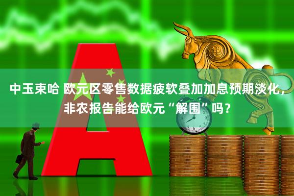 中玉束哈 欧元区零售数据疲软叠加加息预期淡化，非农报告能给欧元“解围”吗？
