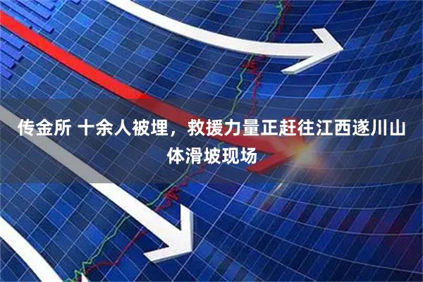 传金所 十余人被埋，救援力量正赶往江西遂川山体滑坡现场